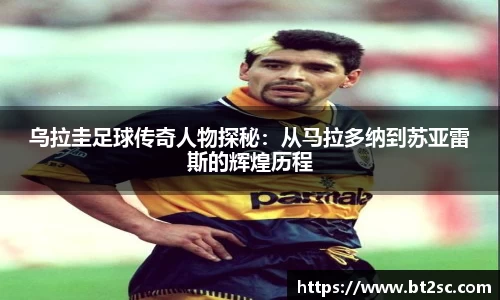 必一运动bsports体育